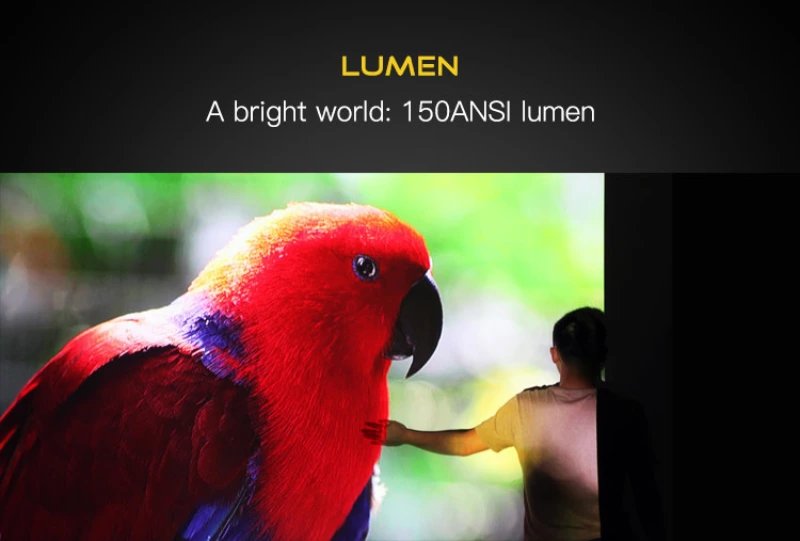 Hotack D013A 150 ANSI Lumens Brightness