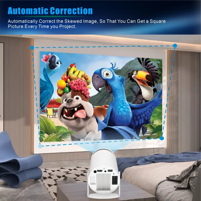 Hotack HY300 Pro Automatic Correction