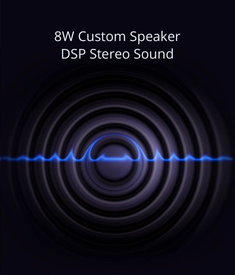Hotack L005S 8W Custom Speaker DSP Stereo Sound