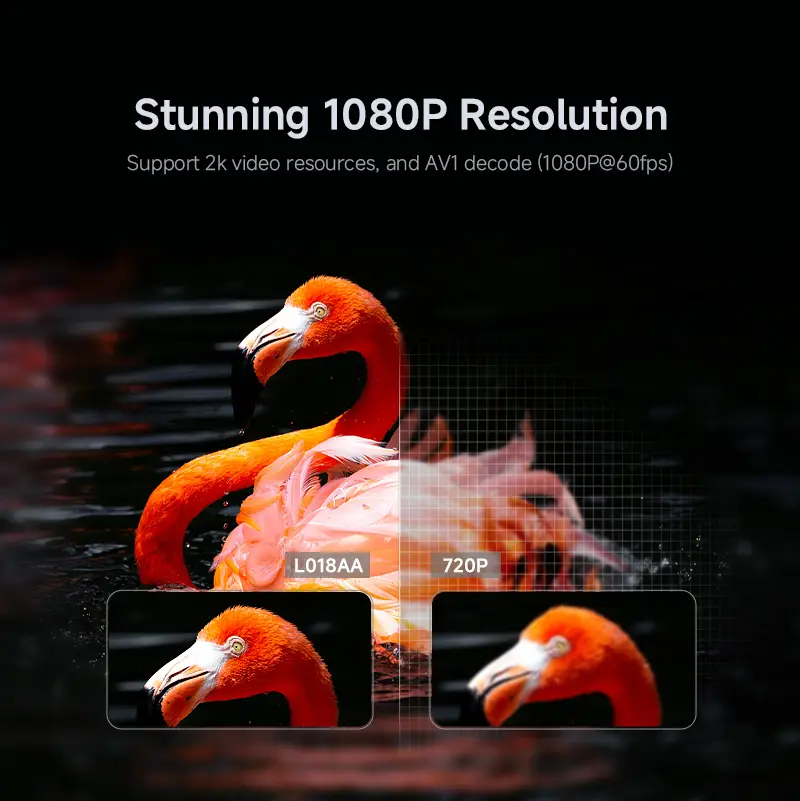 Hotack L018AA Stunning 1080P Resolution