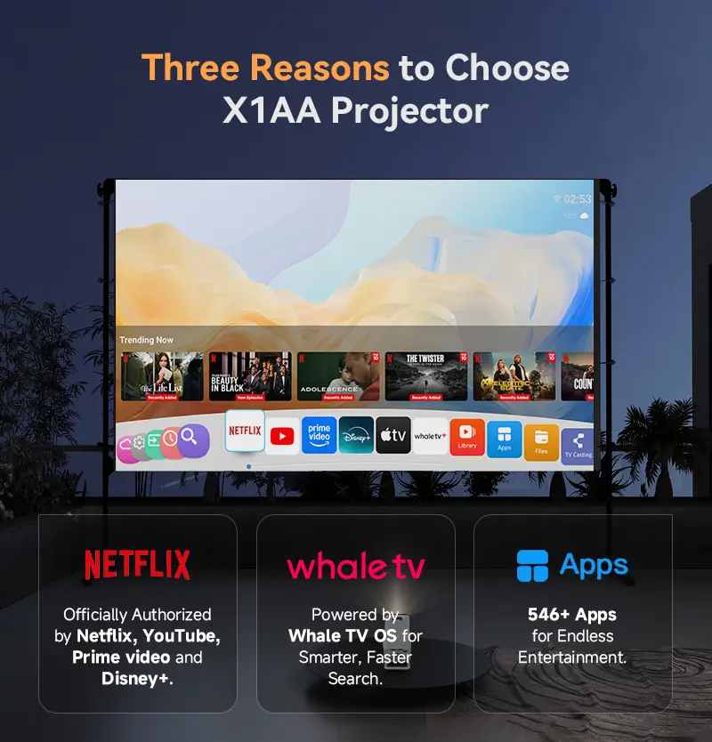 Hotack X1AA officially authorized Netflix streaming, Whale TV OS and 546+ apps