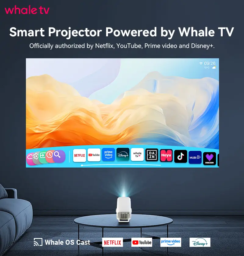 Hotack X3AA Whale TV streaming interface